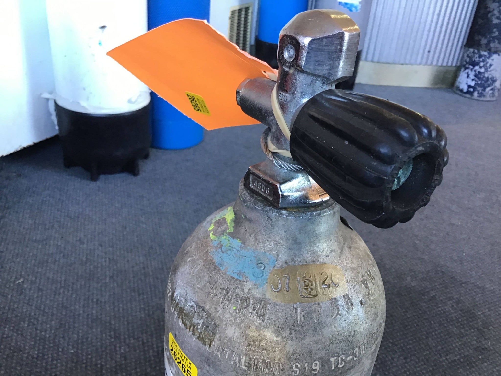 Hydrostatic Test Dive & Fish