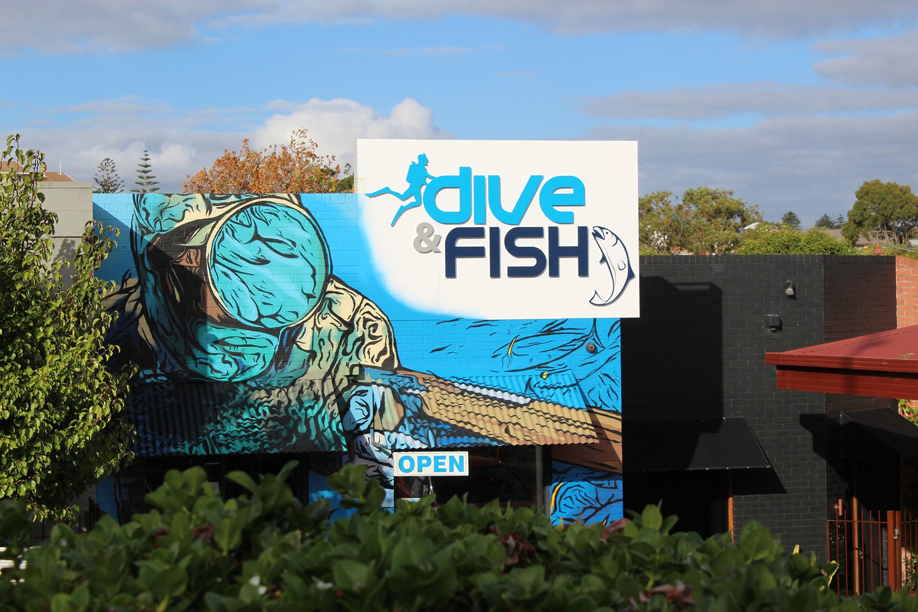 dive and fish dive store storefront